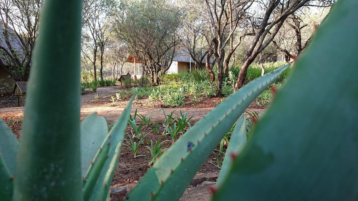 Tidimalo Lodge Rustenburg Exterior photo