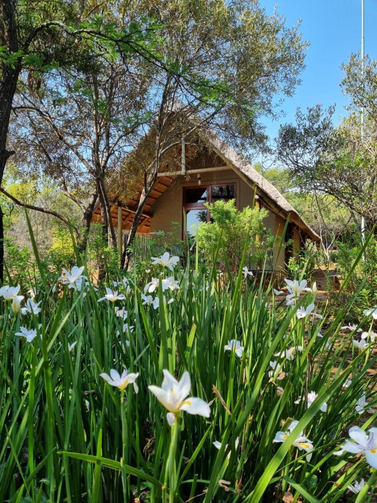 Tidimalo Lodge Rustenburg Exterior photo